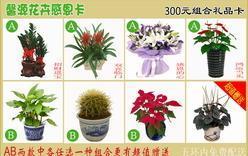 馨源花卉公司 專業北京禮品花卉與禮品卡一站式供應